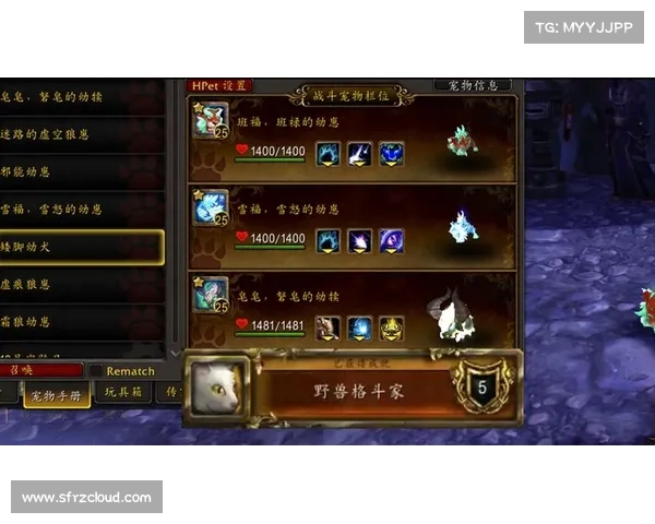 魔兽世界战斗宠物治疗攻略